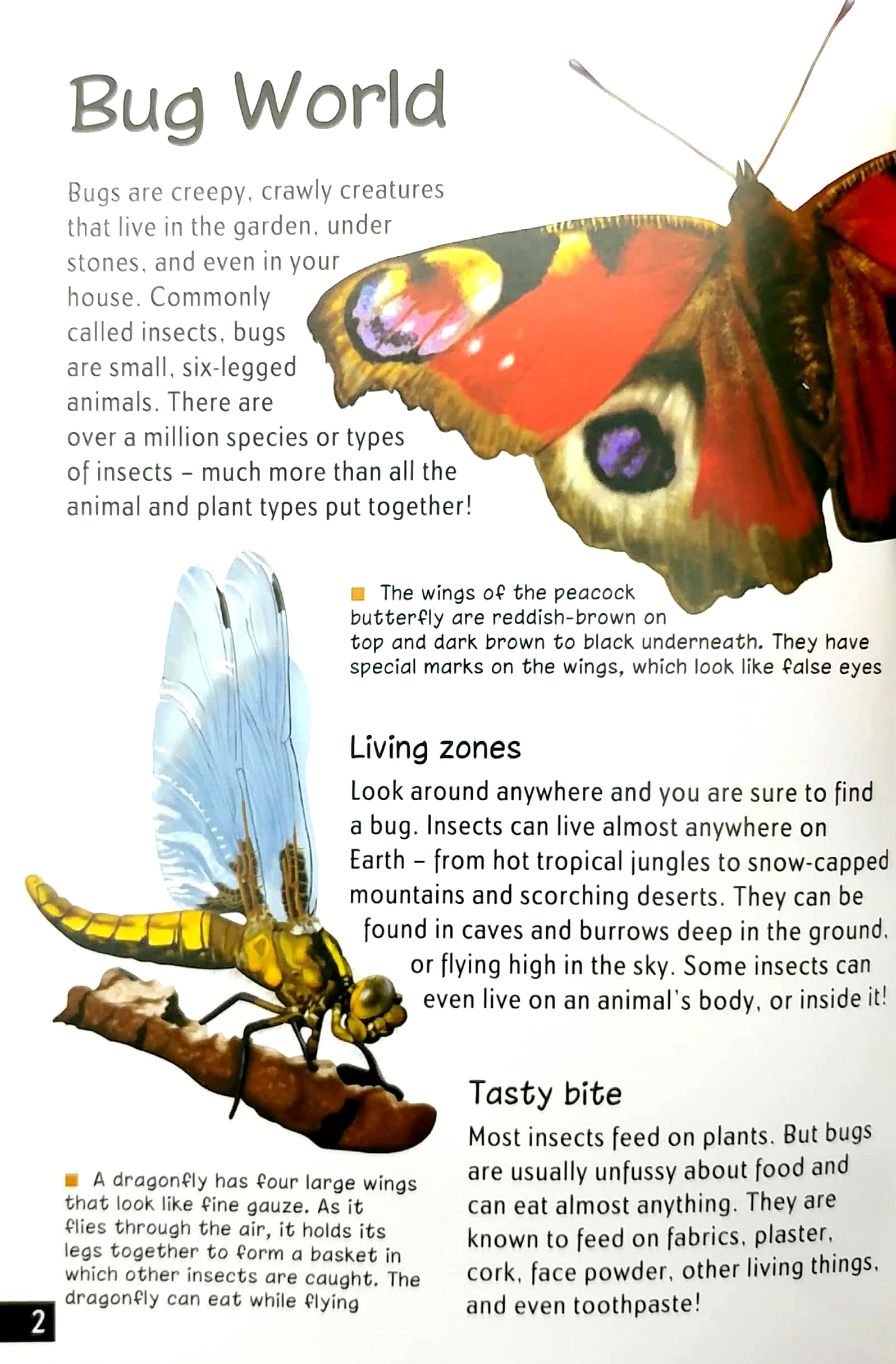 wonders of learning: discover bugs educational tin set