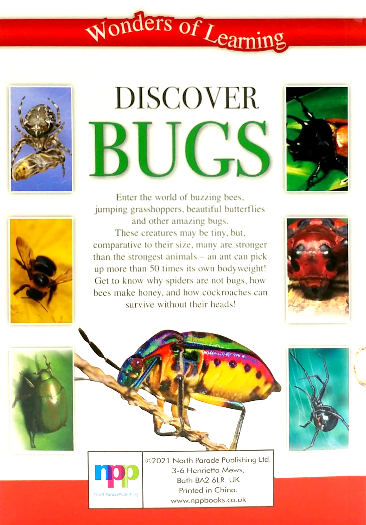 wonders of learning: discover bugs educational tin set