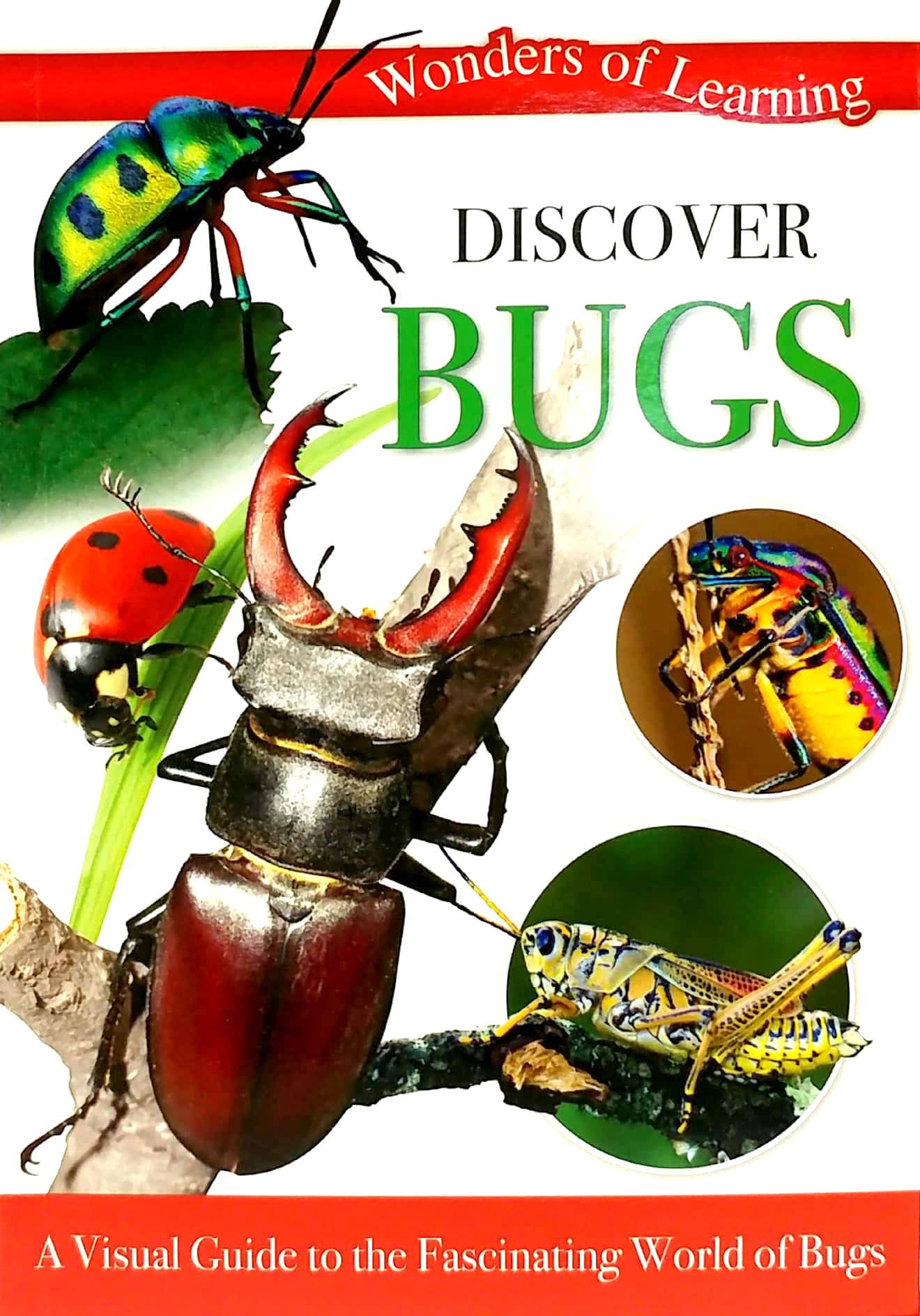 wonders of learning: discover bugs educational tin set