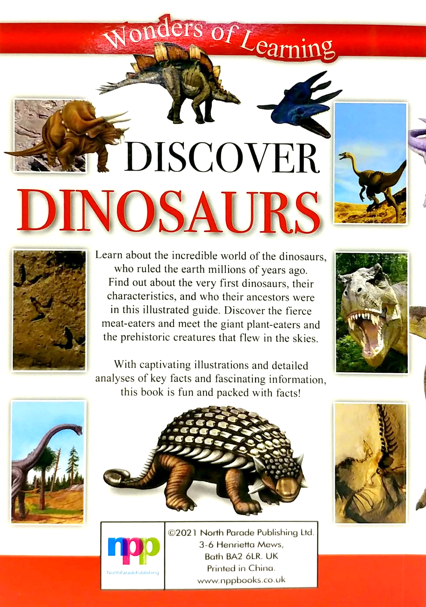 wonders of learning: discover dinosaurs educational tin set