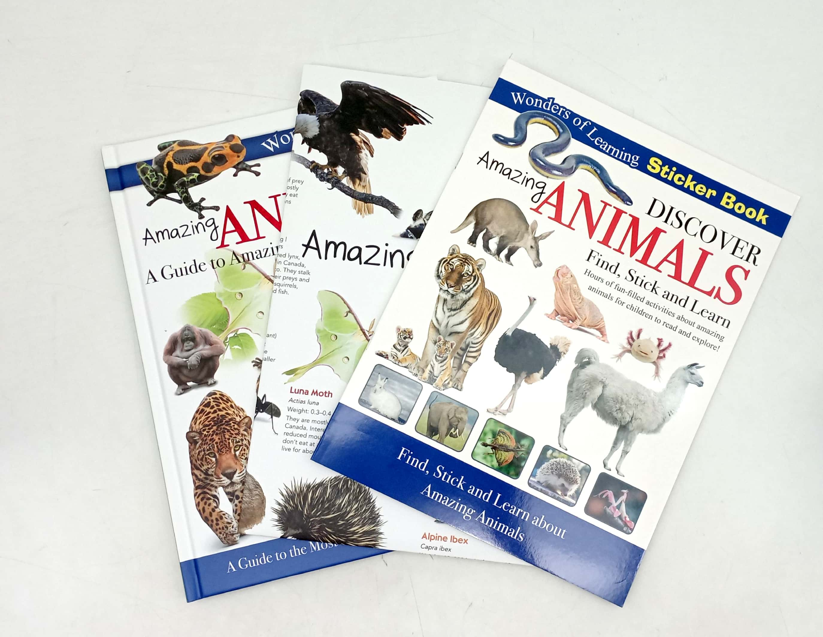 wonders of learning - educational box set - amazing animals