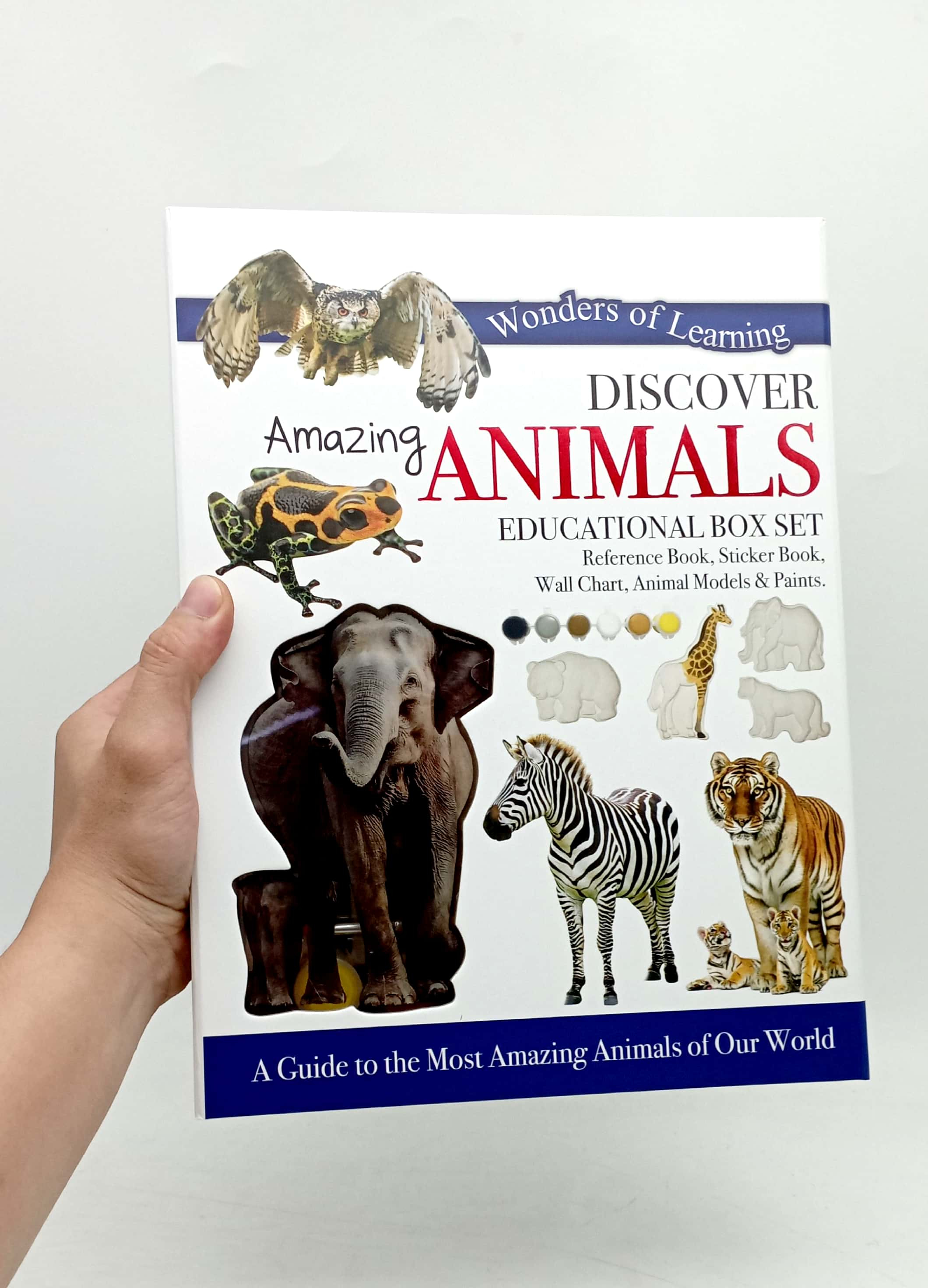 wonders of learning - educational box set - amazing animals