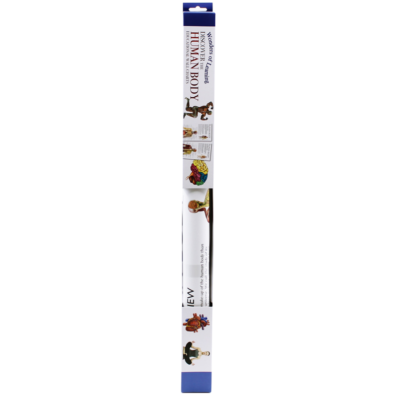 wonders of learning educational wall chart: discover the human body