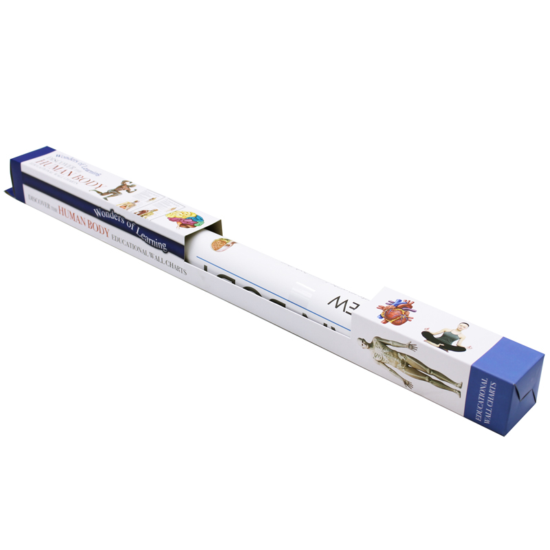 wonders of learning educational wall chart: discover the human body