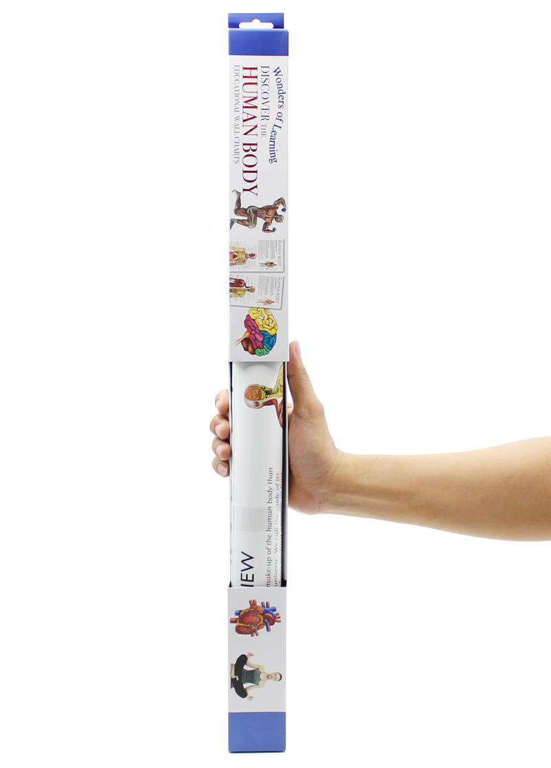 wonders of learning educational wall chart: discover the human body