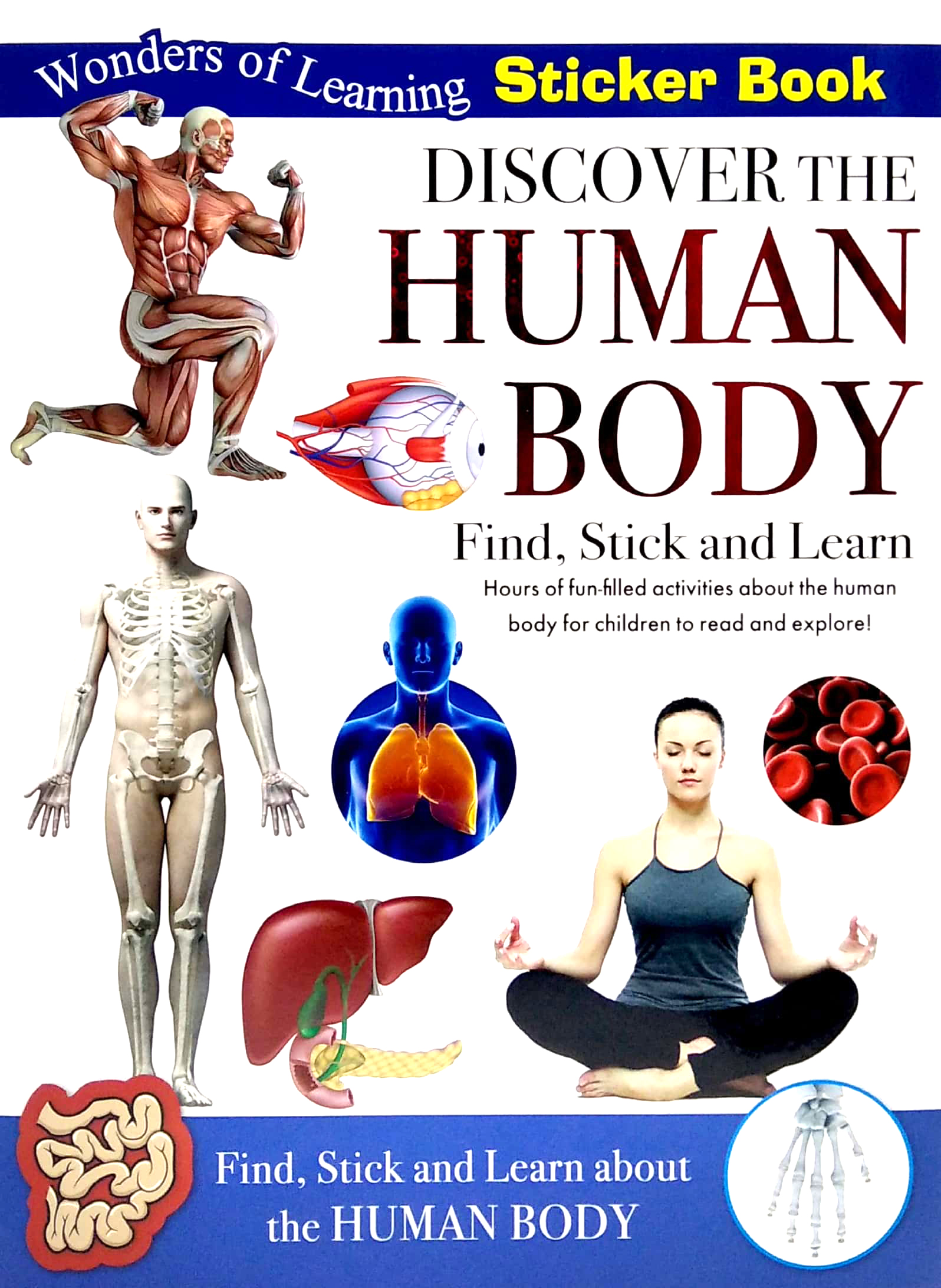 wonders of learning - sticker book - human body