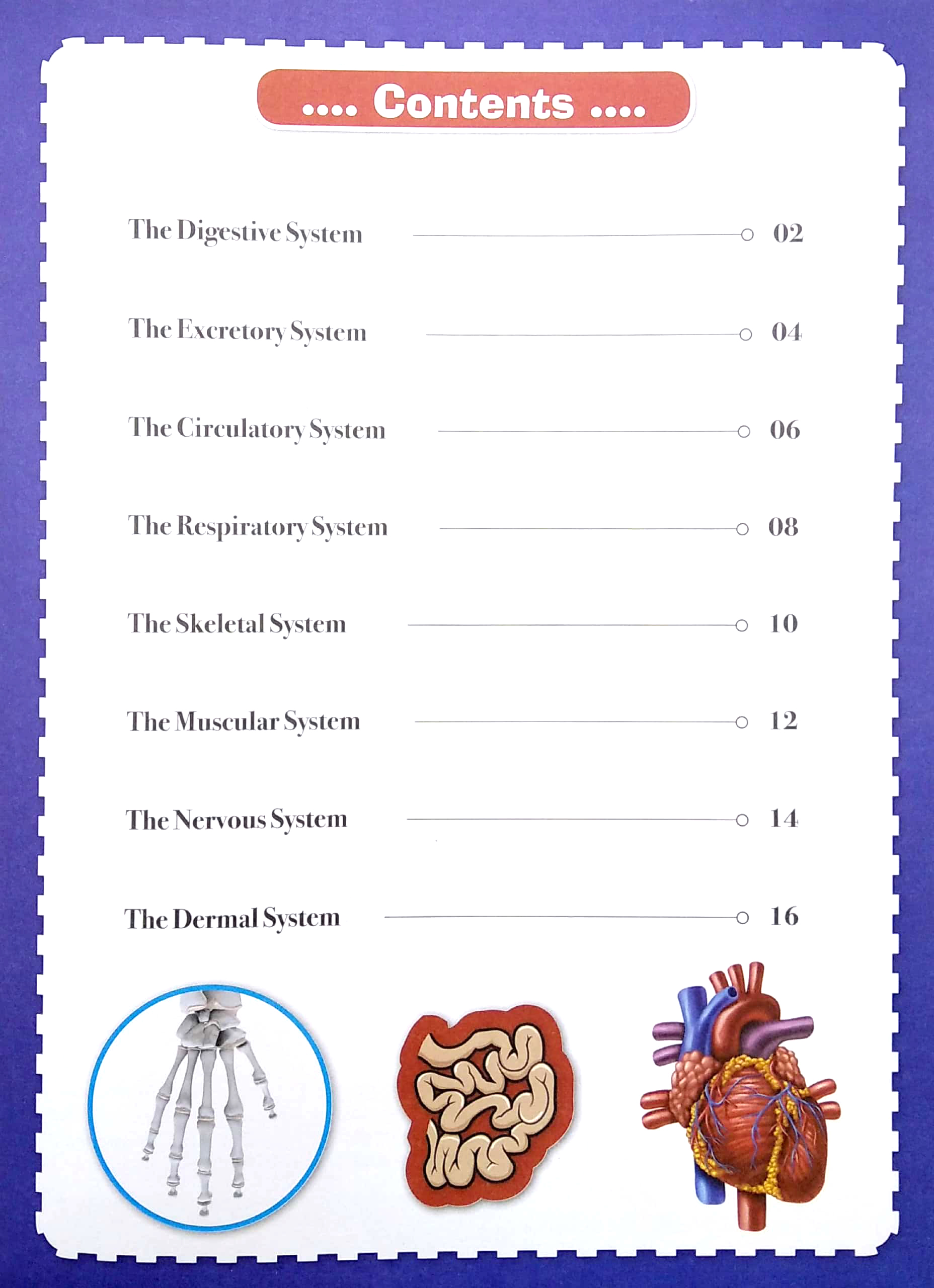 wonders of learning - sticker book - human body