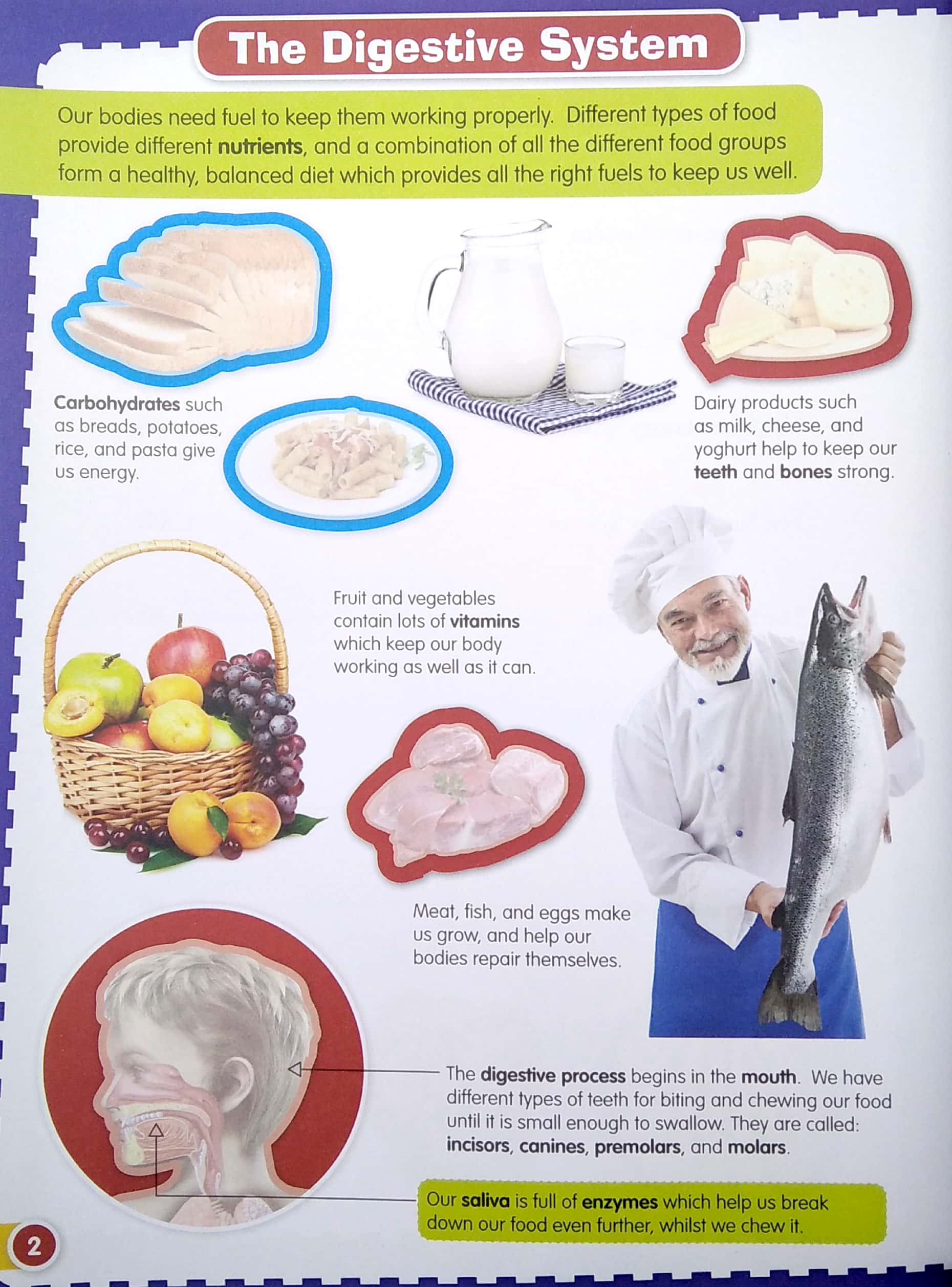 wonders of learning - sticker book - human body