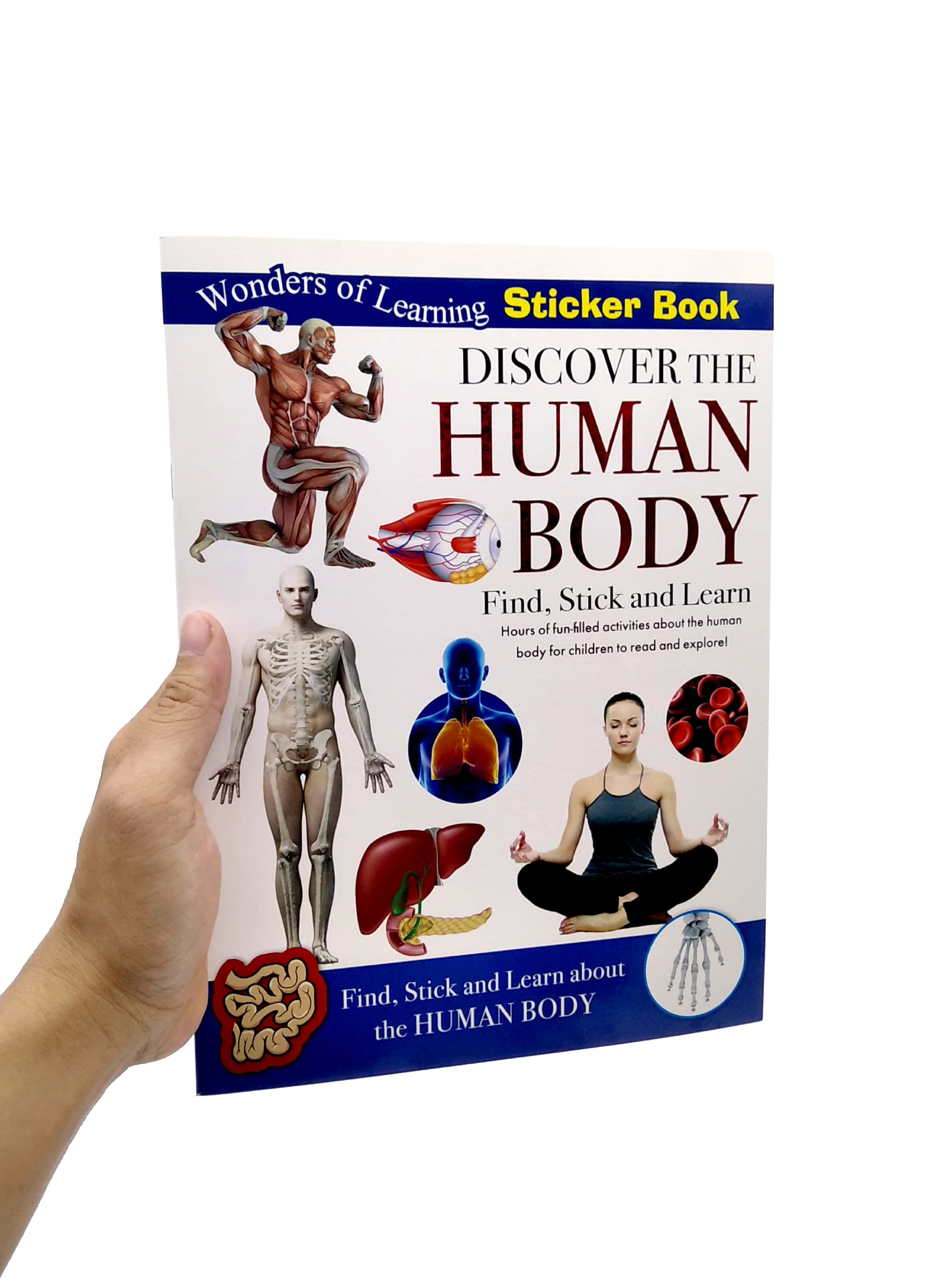 wonders of learning - sticker book - human body