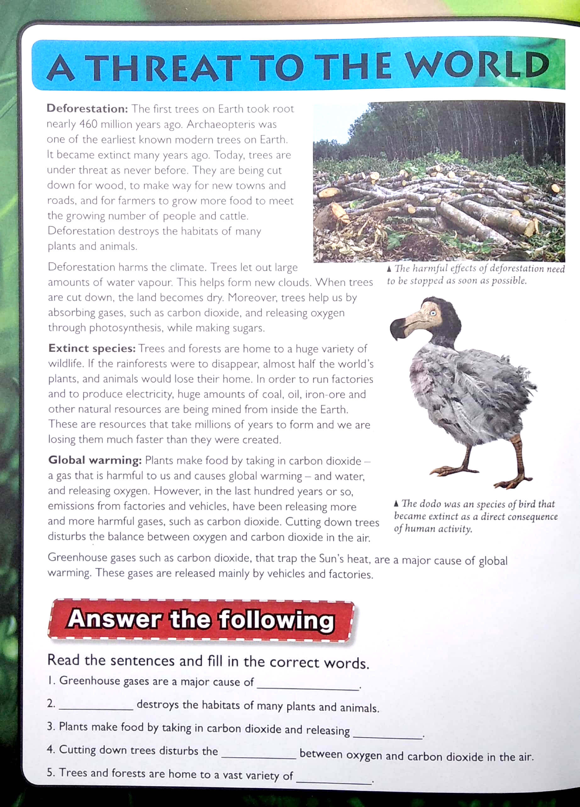 wonders of learning - sticker book - saving planet earth