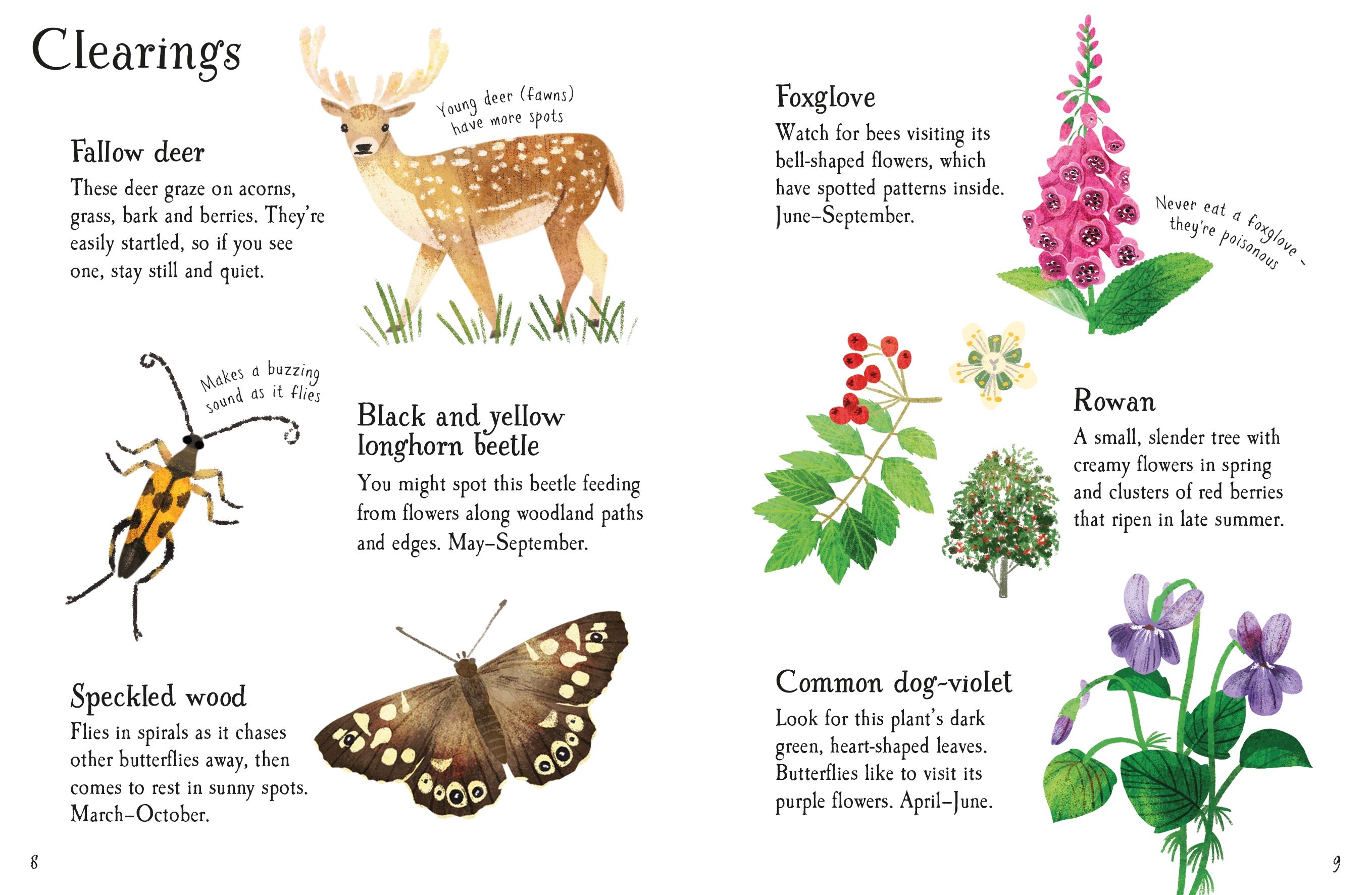 woodland life to spot