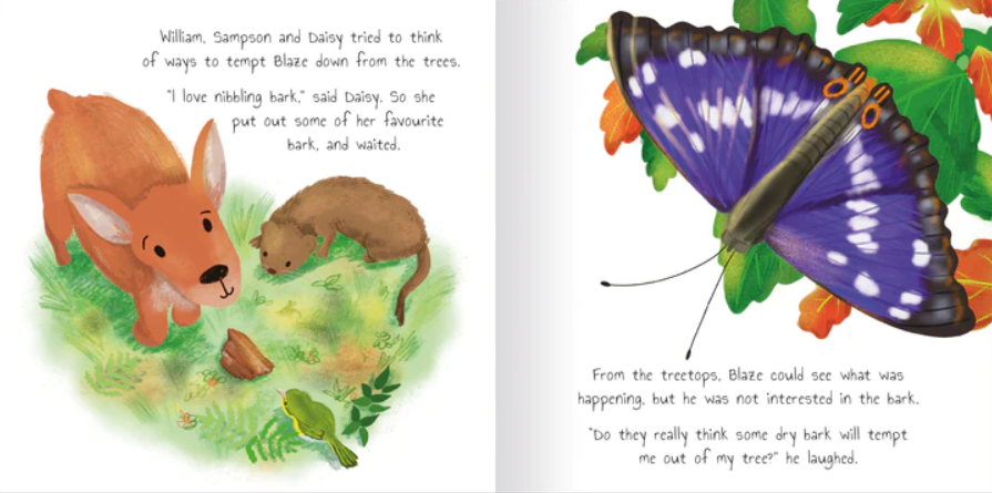 woodland tales 4-book set