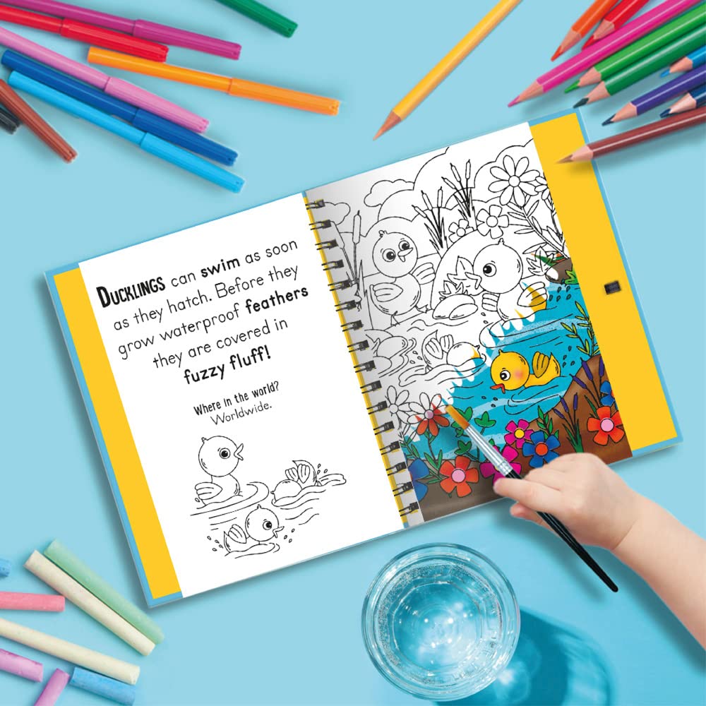 woof and meow - baby animals (magic water colouring)