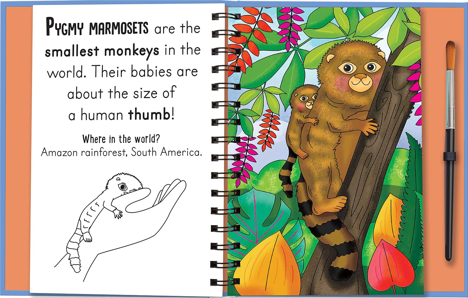 woof and meow - baby animals (magic water colouring)