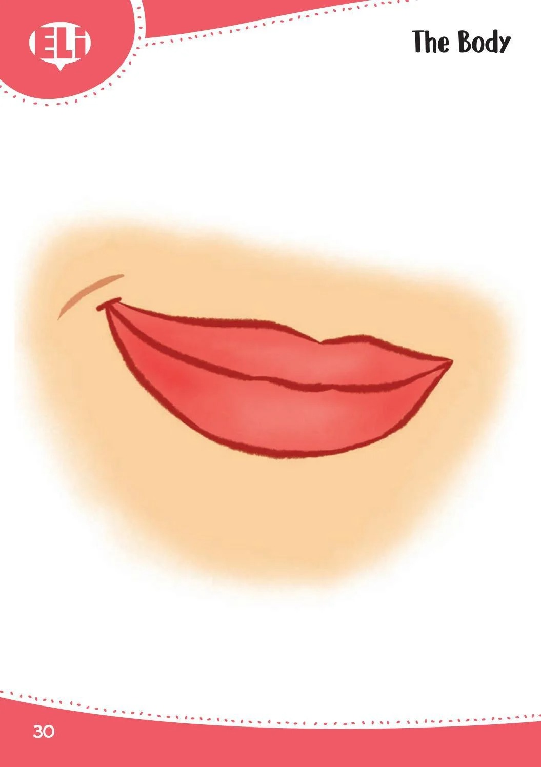 words in pictures (printed flashcards with digital code)