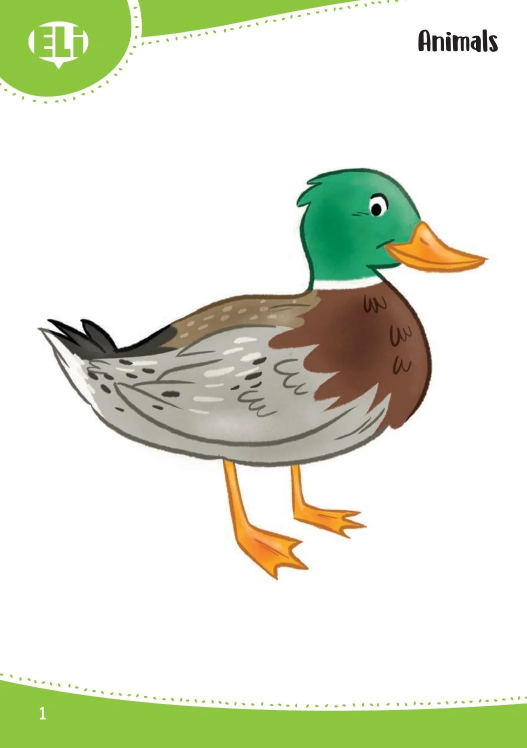 words in pictures (printed flashcards with digital code)