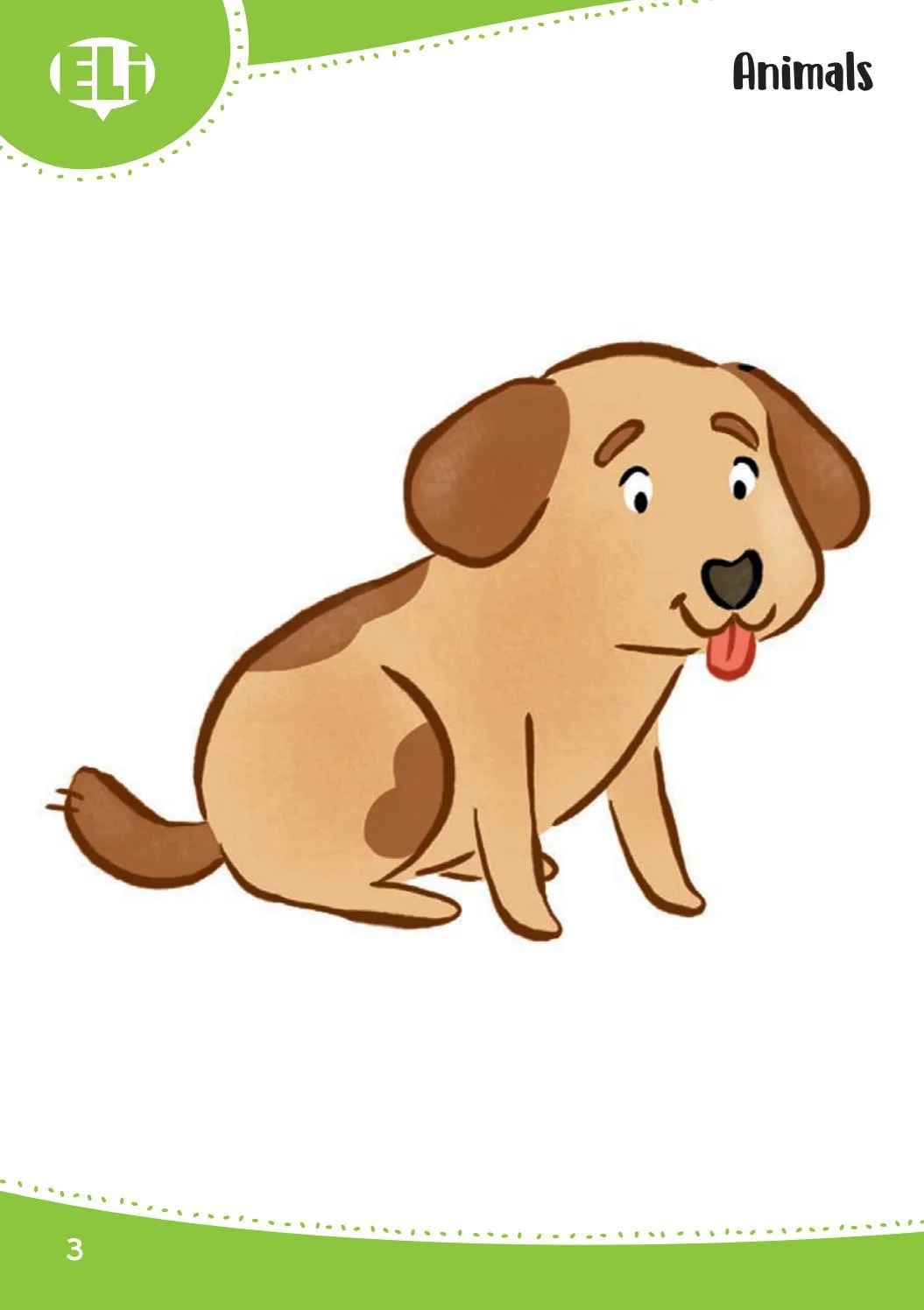 words in pictures (printed flashcards with digital code)