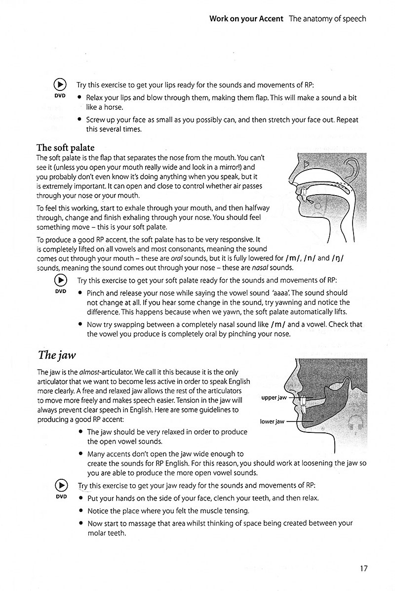 work on your accent (kèm cd)