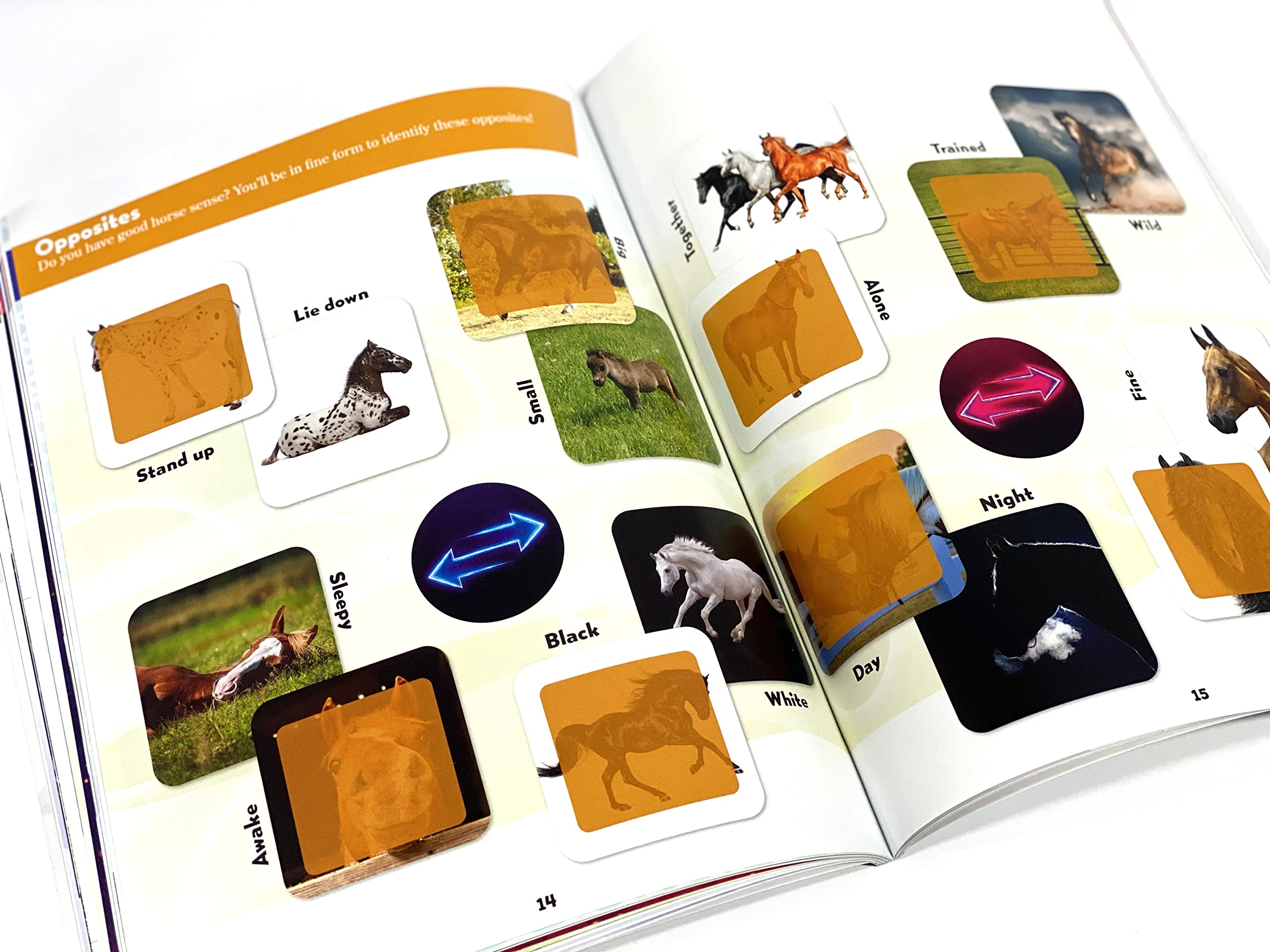 world of horses sticker book treasury