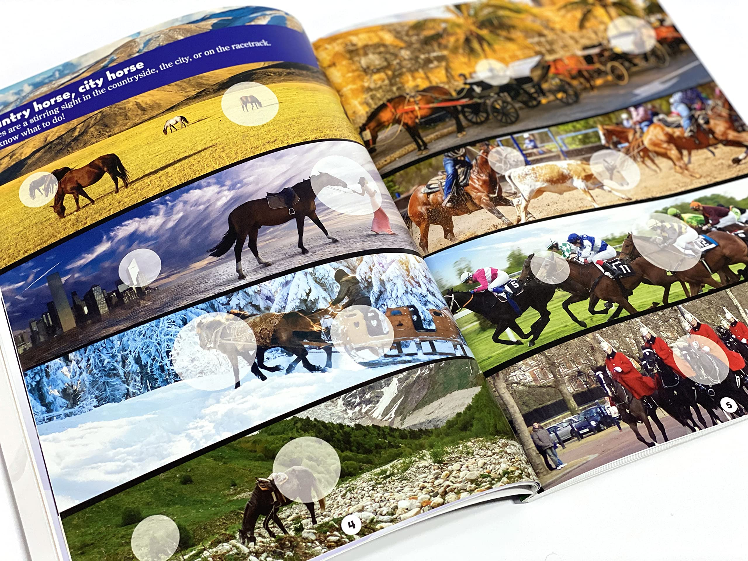 world of horses sticker book treasury