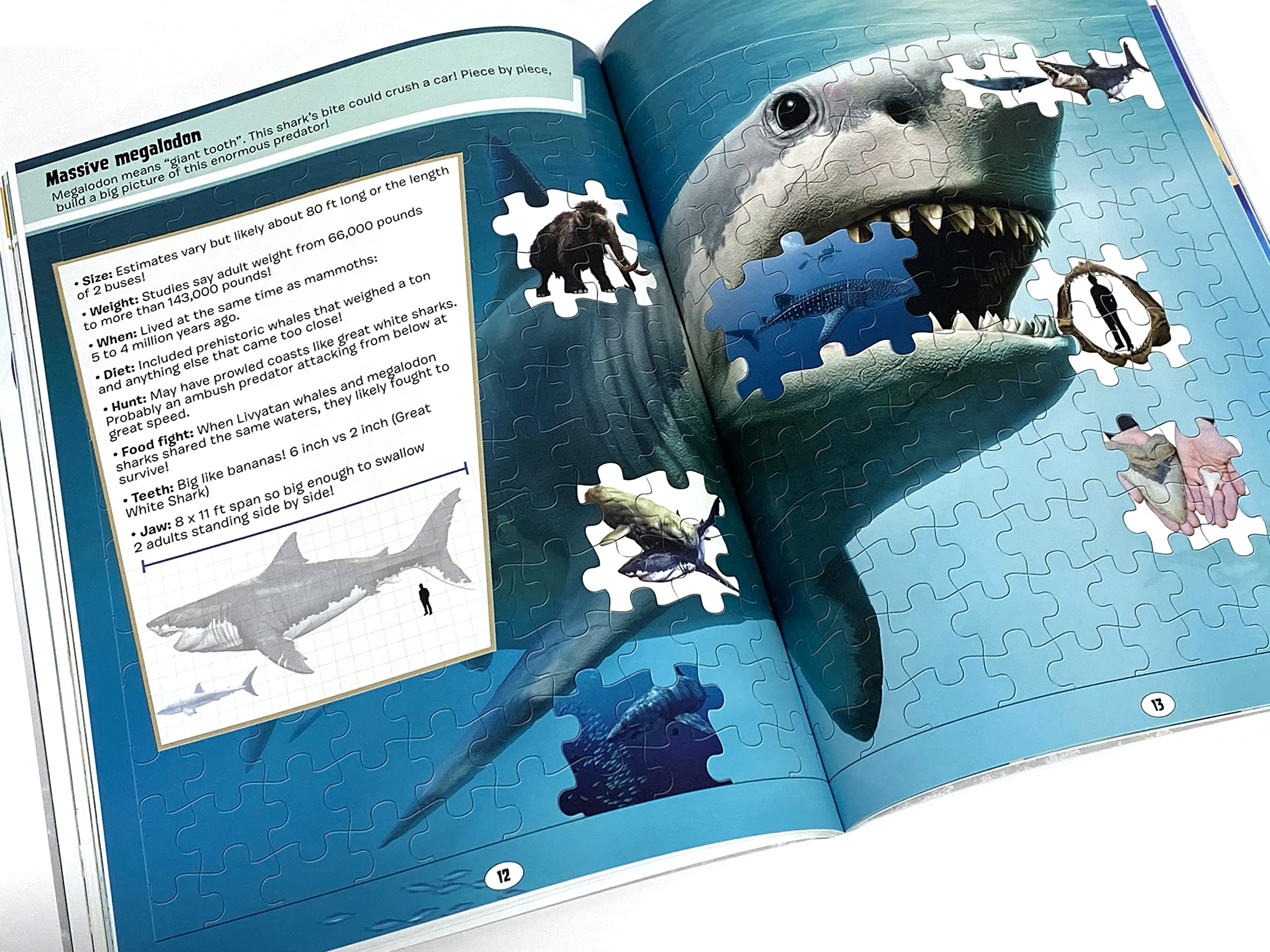 world of sharks sticker book treasury