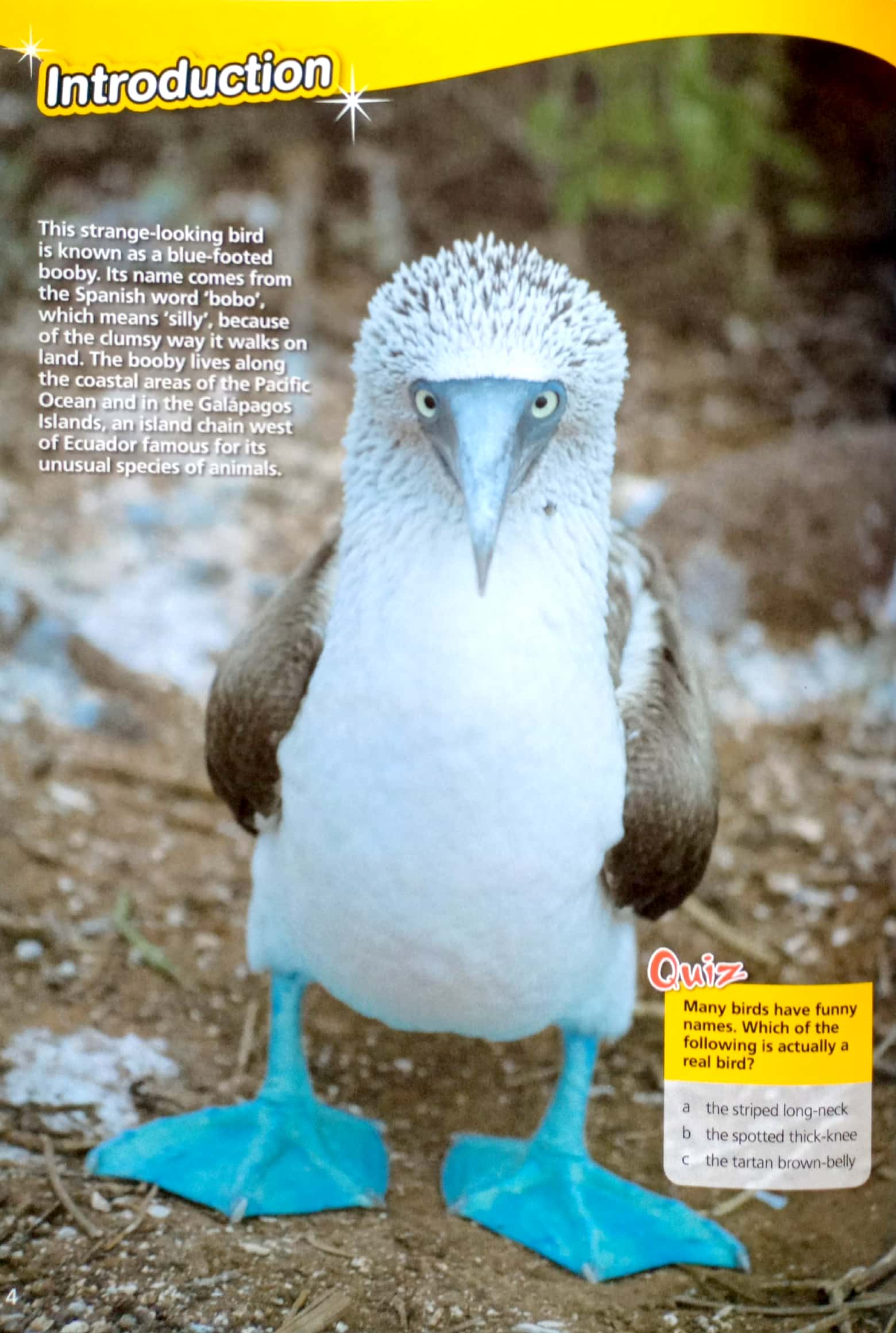 world wonders 4 student's book