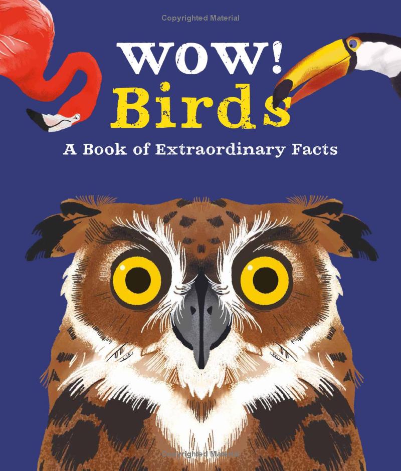 wow! birds