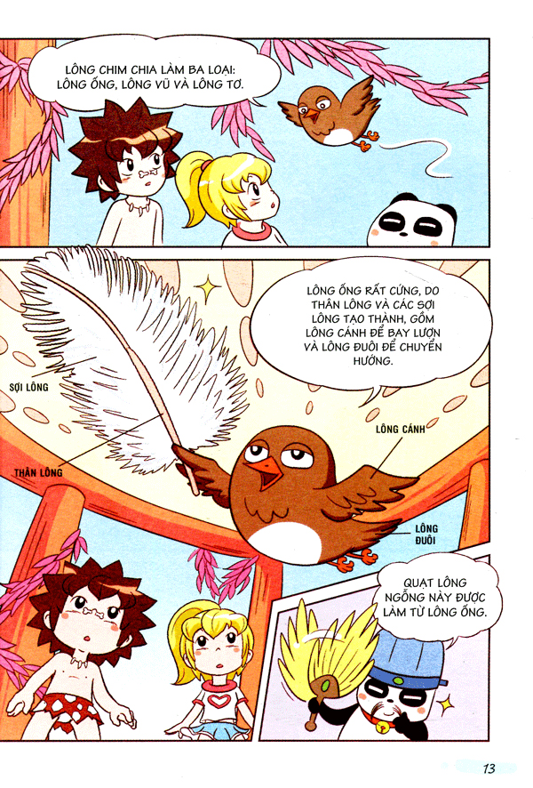 wow! - những bí mật kỳ diệu dành cho học sinh - khám phá các loài chim (tái bản)