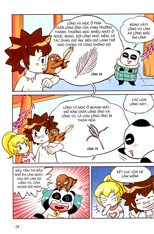 wow! - những bí mật kỳ diệu dành cho học sinh - khám phá các loài chim (tái bản)