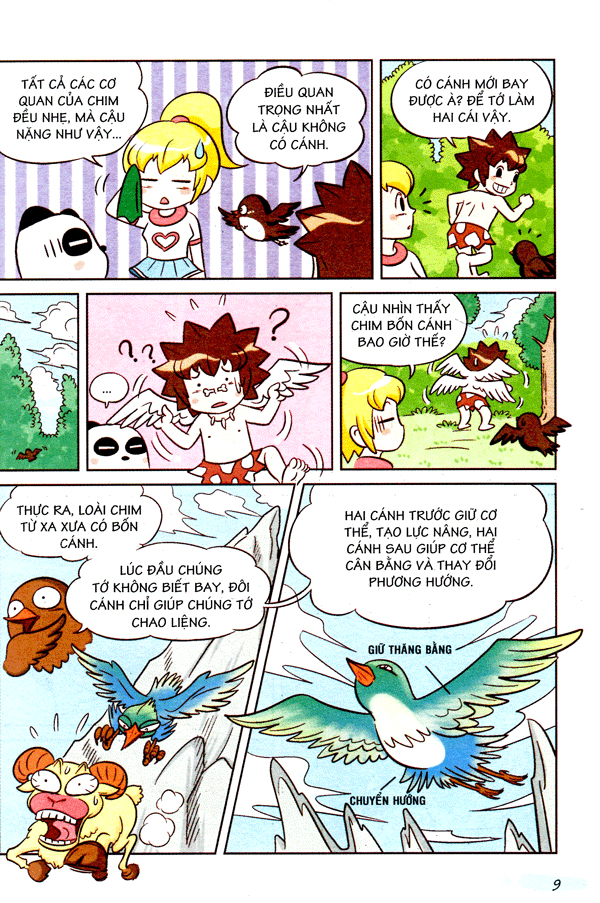 wow! - những bí mật kỳ diệu dành cho học sinh - khám phá các loài chim (tái bản)