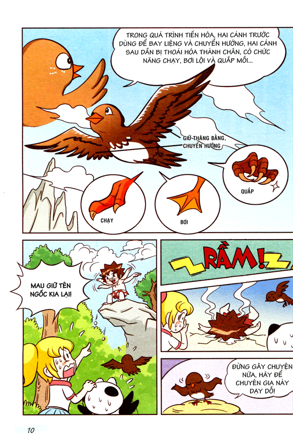 wow! - những bí mật kỳ diệu dành cho học sinh - khám phá các loài chim (tái bản)