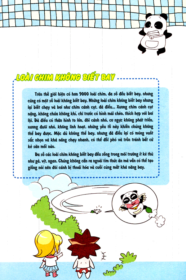 wow! - những bí mật kỳ diệu dành cho học sinh - khám phá các loài chim (tái bản)