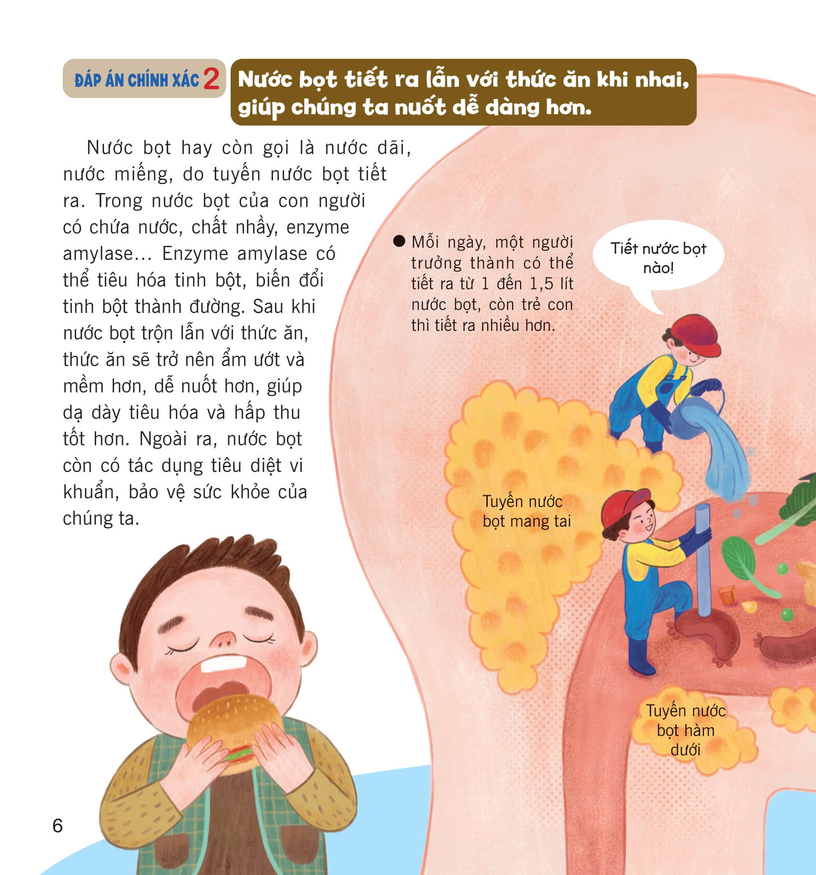 wow, thì ra là thế! - bí ẩn cơ thể người