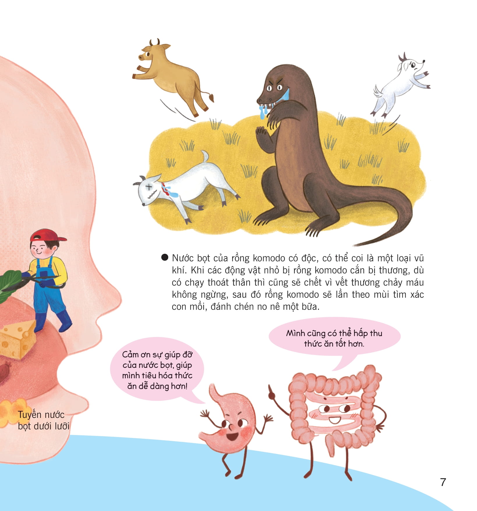 wow, thì ra là thế! - bí ẩn cơ thể người