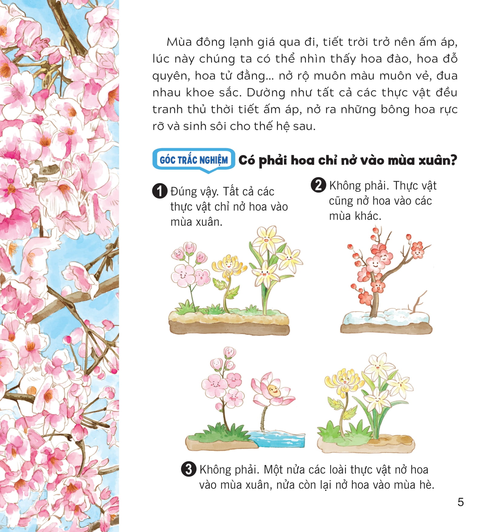 wow, thì ra là thế! - bí mật nhỏ của thực vật