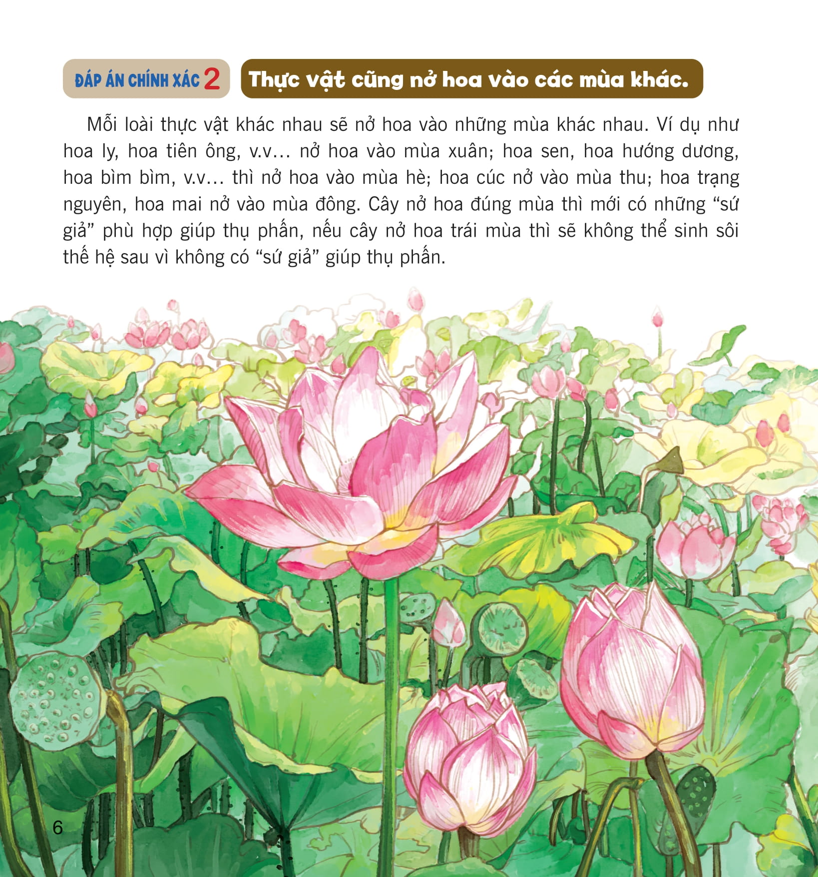 wow, thì ra là thế! - bí mật nhỏ của thực vật