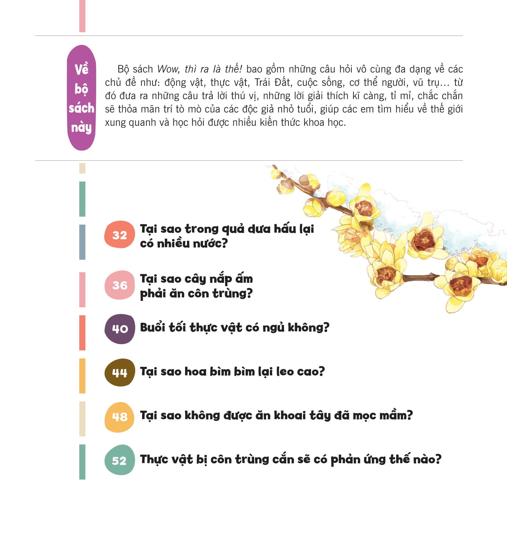 wow, thì ra là thế! - bí mật nhỏ của thực vật