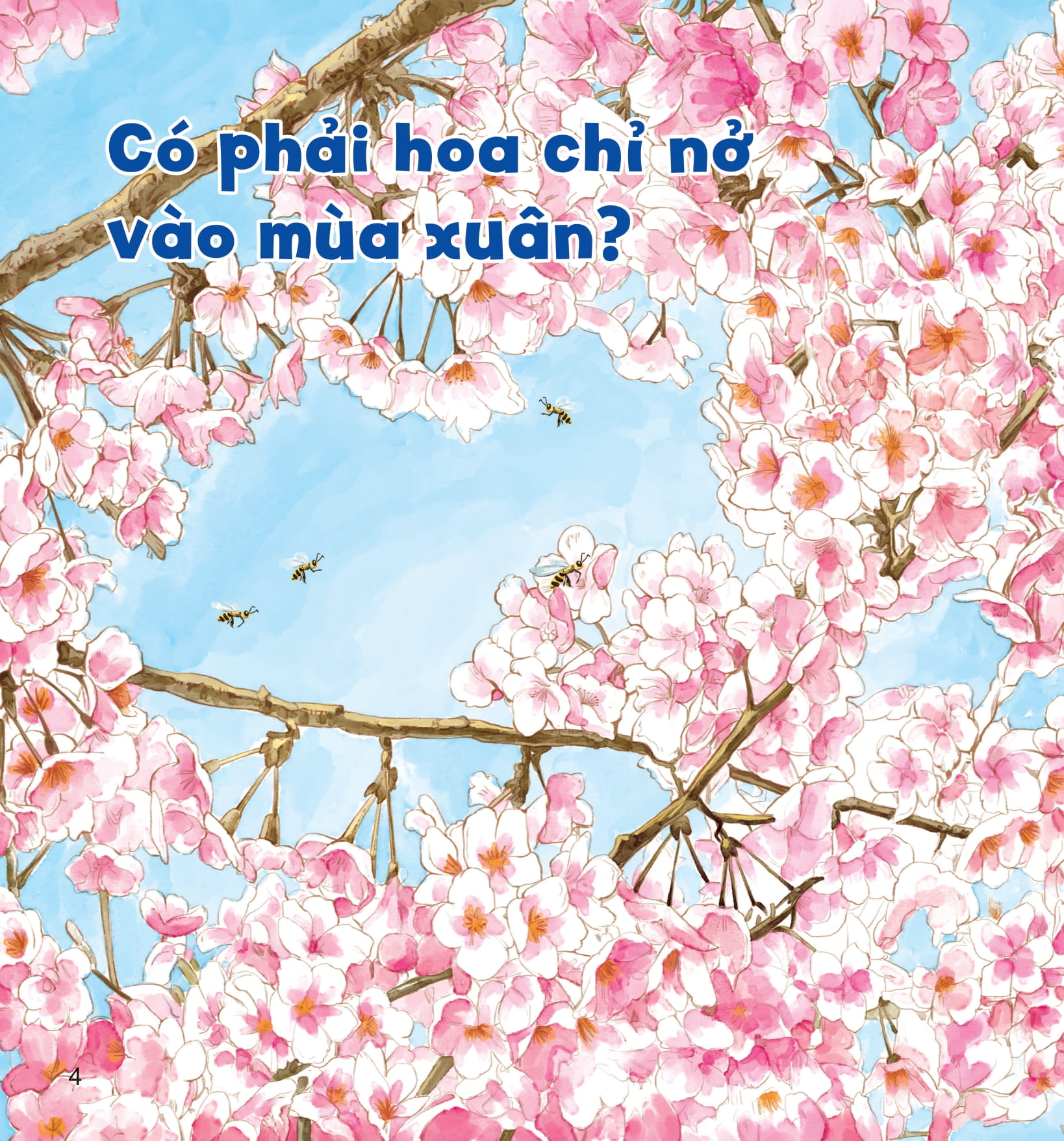 wow, thì ra là thế! - bí mật nhỏ của thực vật