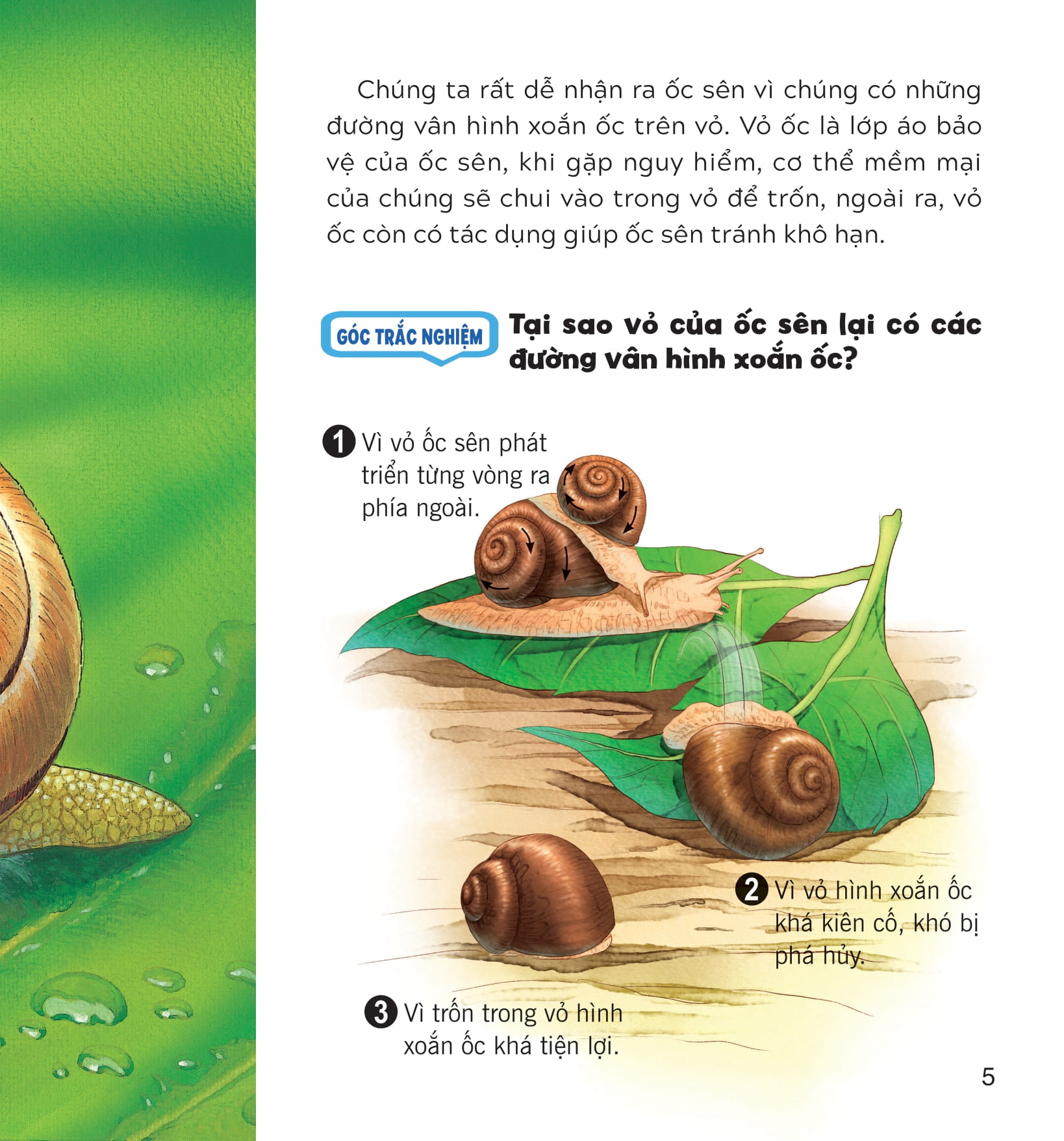 wow, thì ra là thế! - cơ thể của động vật