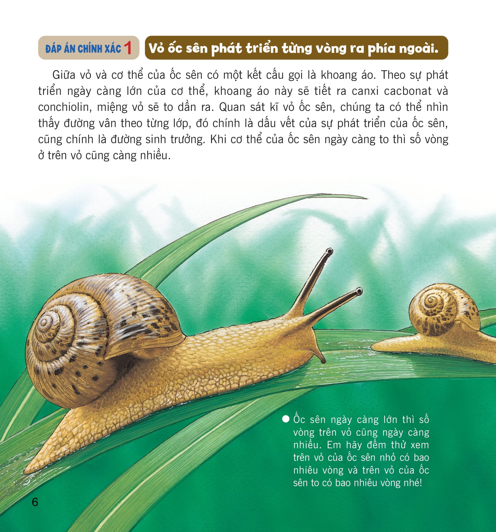 wow, thì ra là thế! - cơ thể của động vật