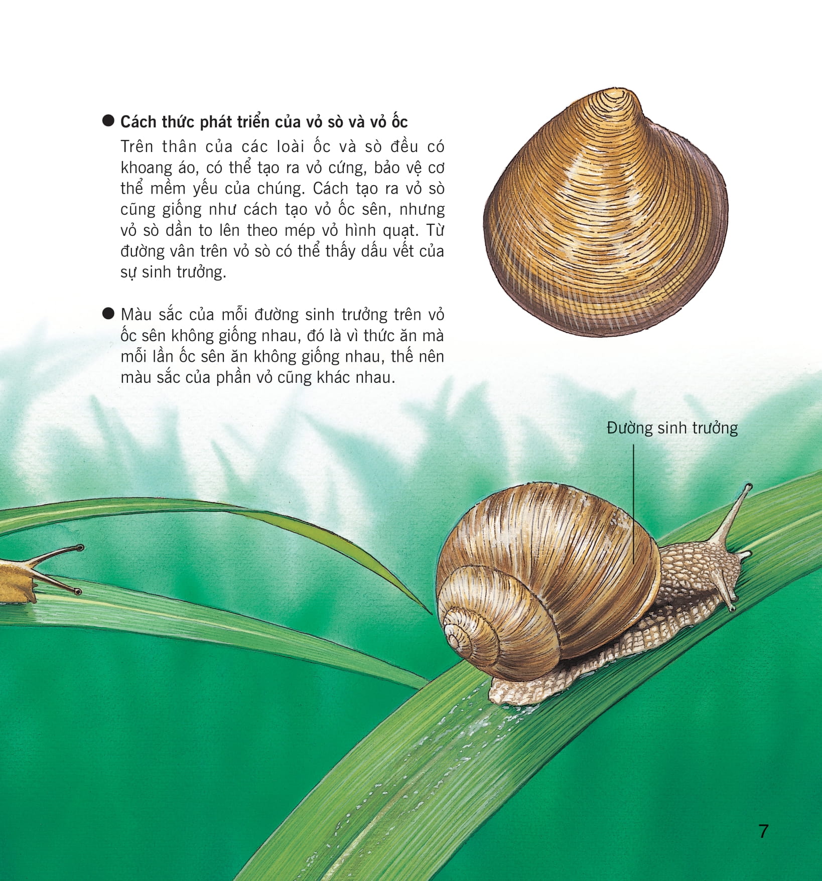 wow, thì ra là thế! - cơ thể của động vật