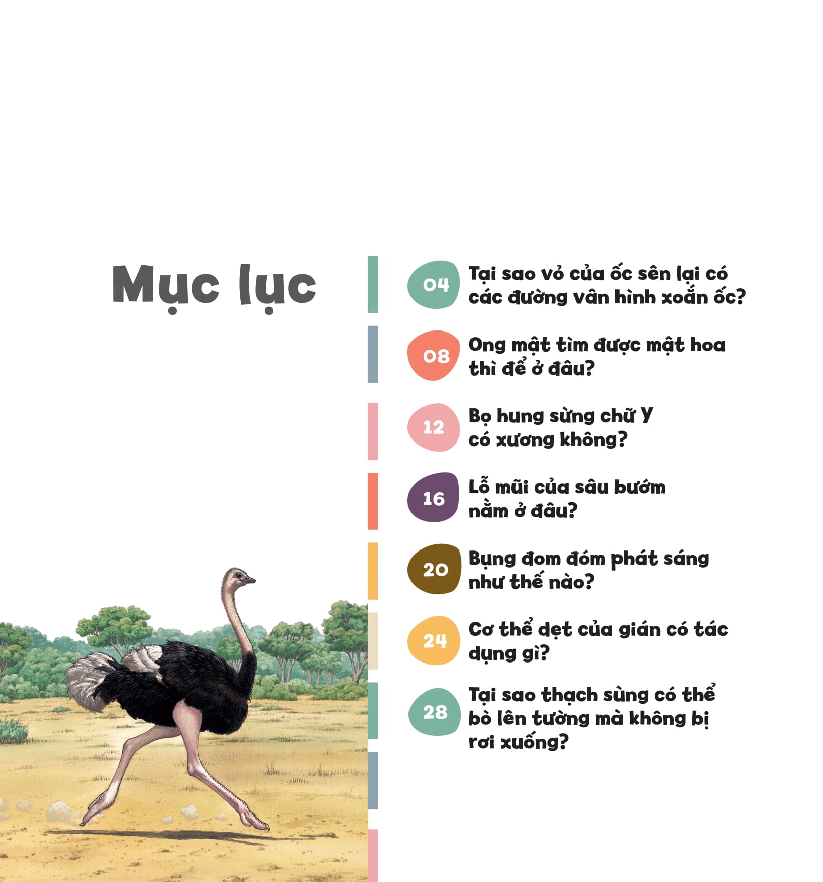 wow, thì ra là thế! - cơ thể của động vật