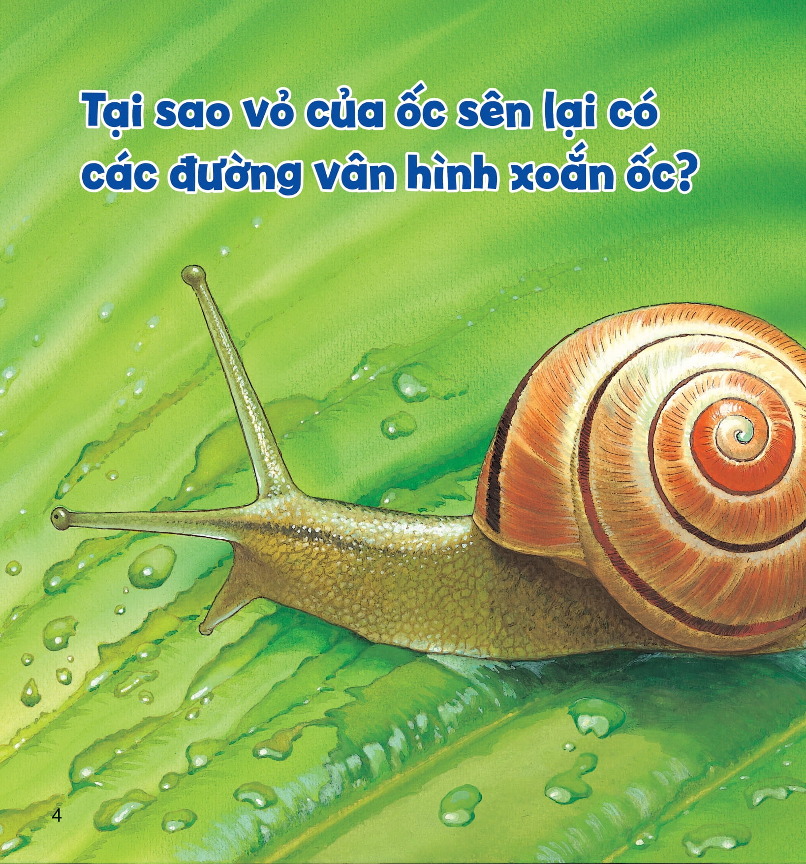 wow, thì ra là thế! - cơ thể của động vật