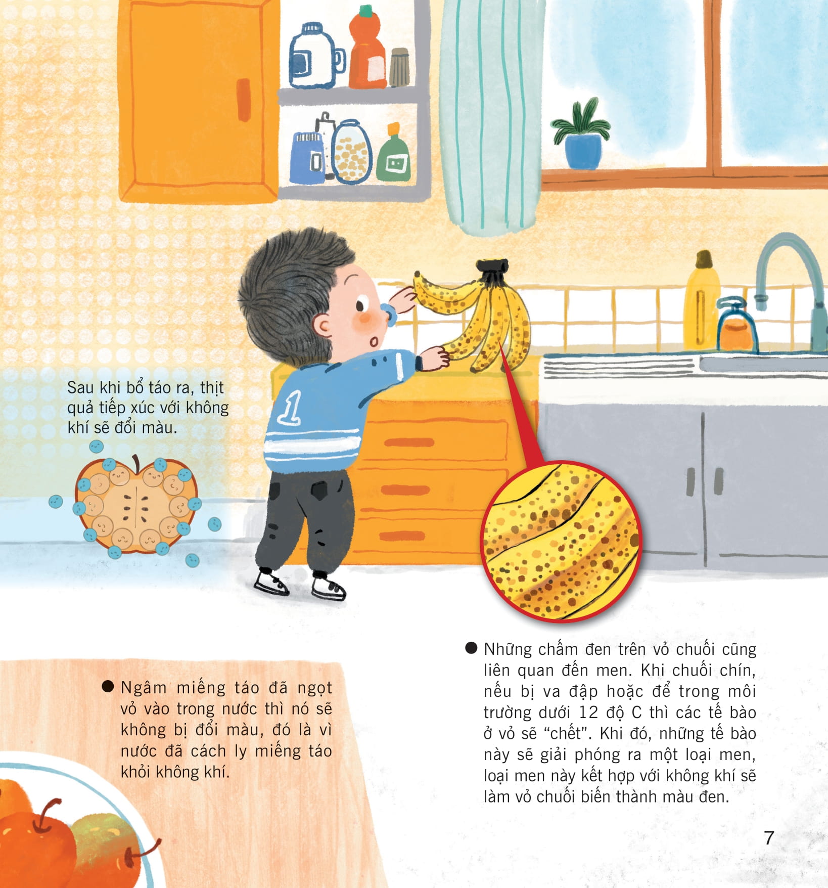 wow, thì ra là thế! - khoa học trong cuộc sống