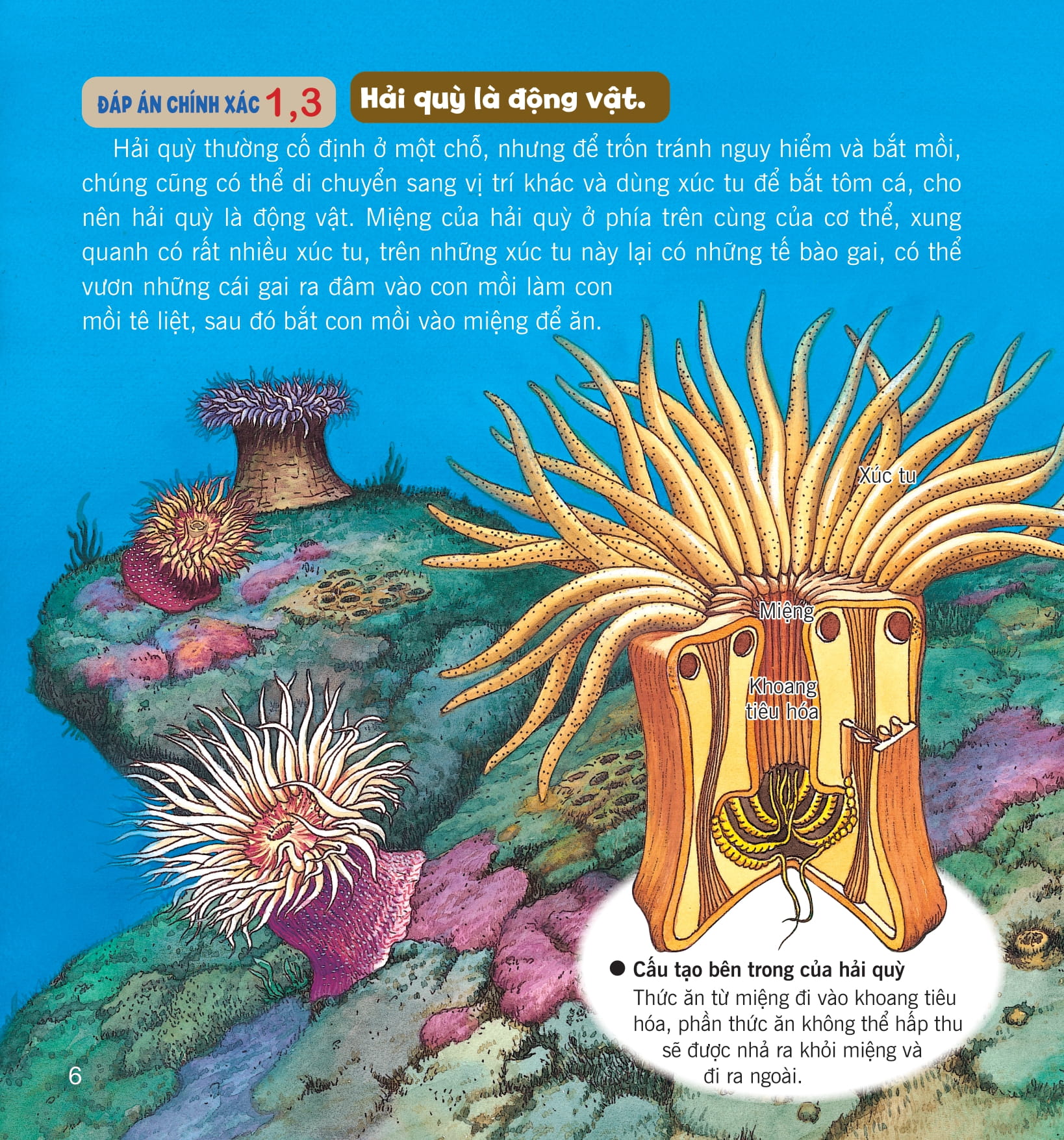 wow, thì ra là thế! - kiến thức ít ai biết về động vật