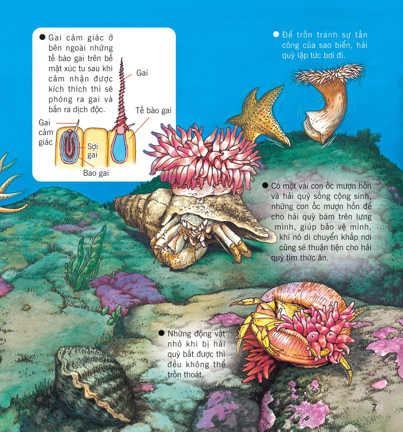 wow, thì ra là thế! - kiến thức ít ai biết về động vật