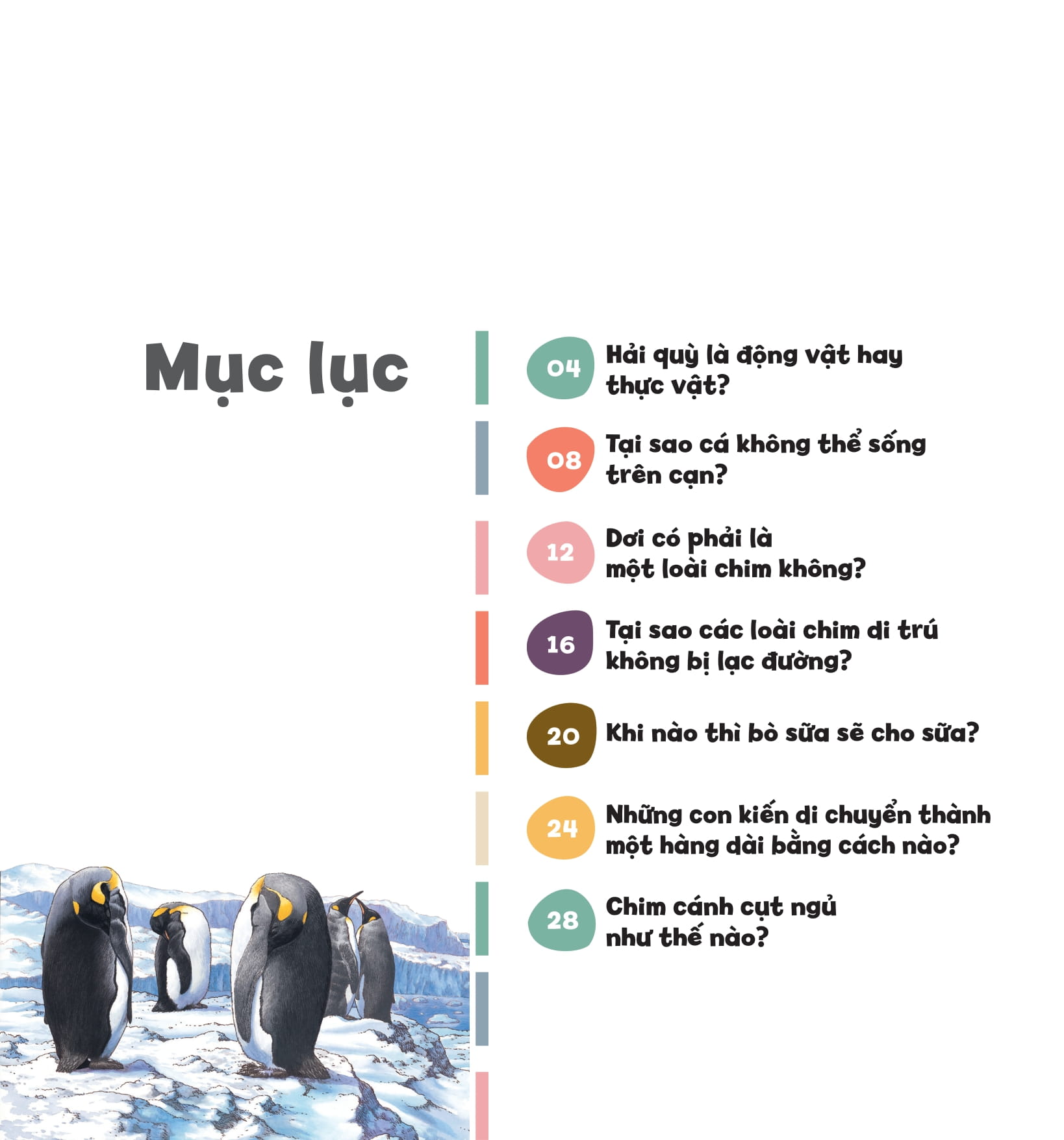 wow, thì ra là thế! - kiến thức ít ai biết về động vật