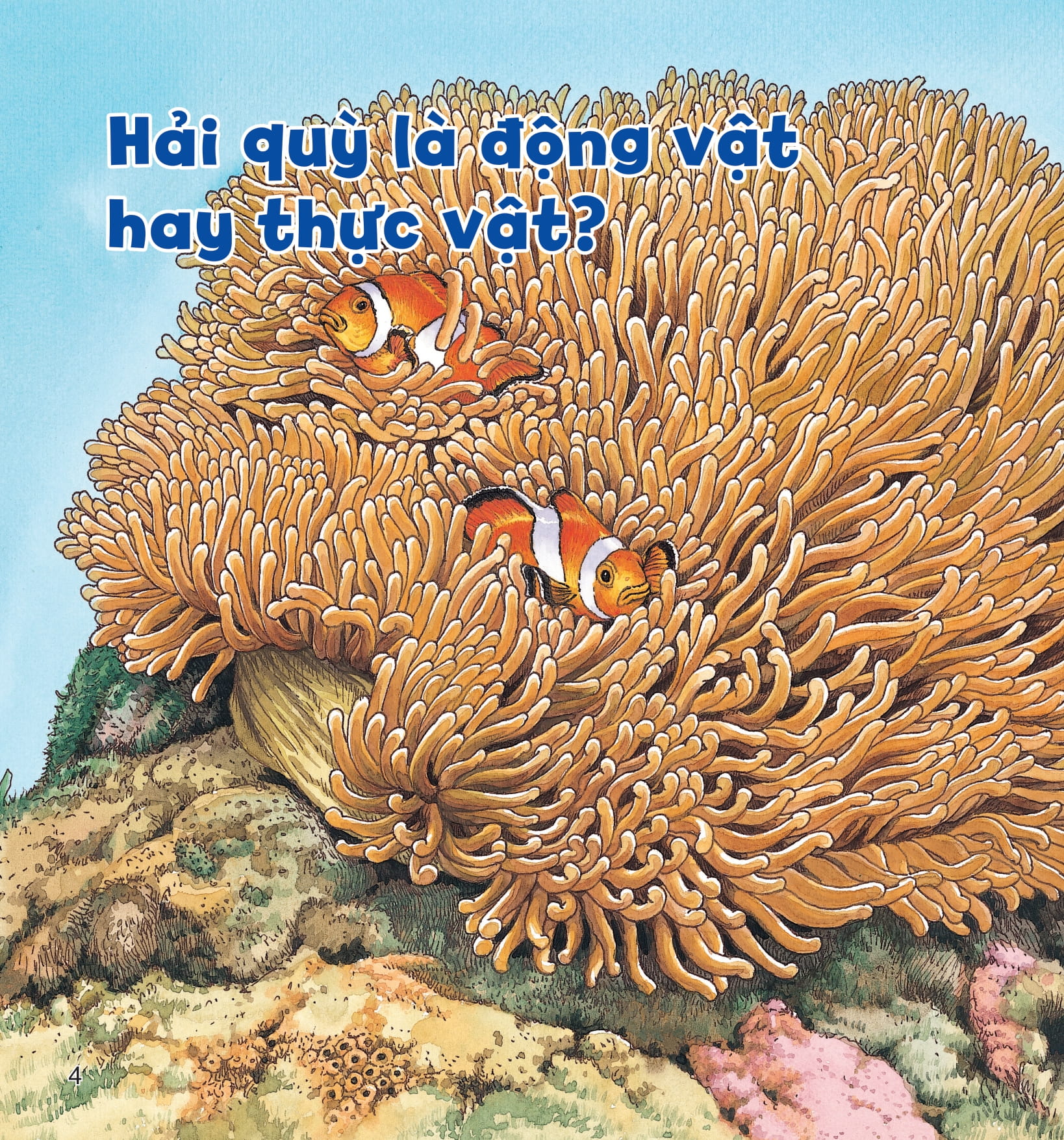 wow, thì ra là thế! - kiến thức ít ai biết về động vật