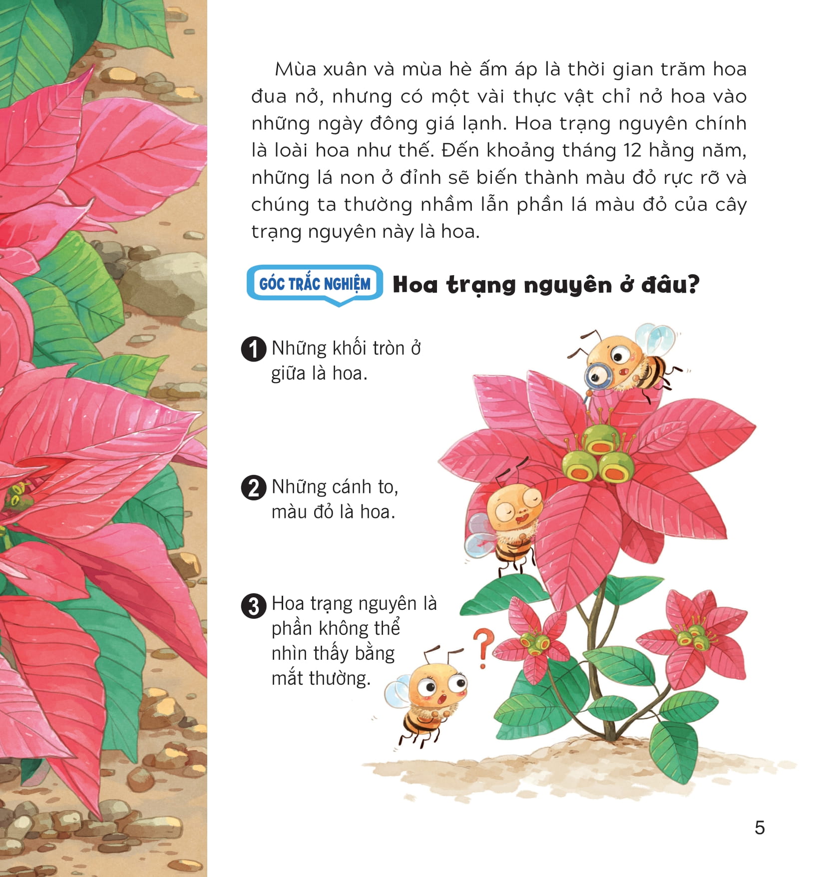 wow, thì ra là thế! - sự sinh trưởng của thực vật