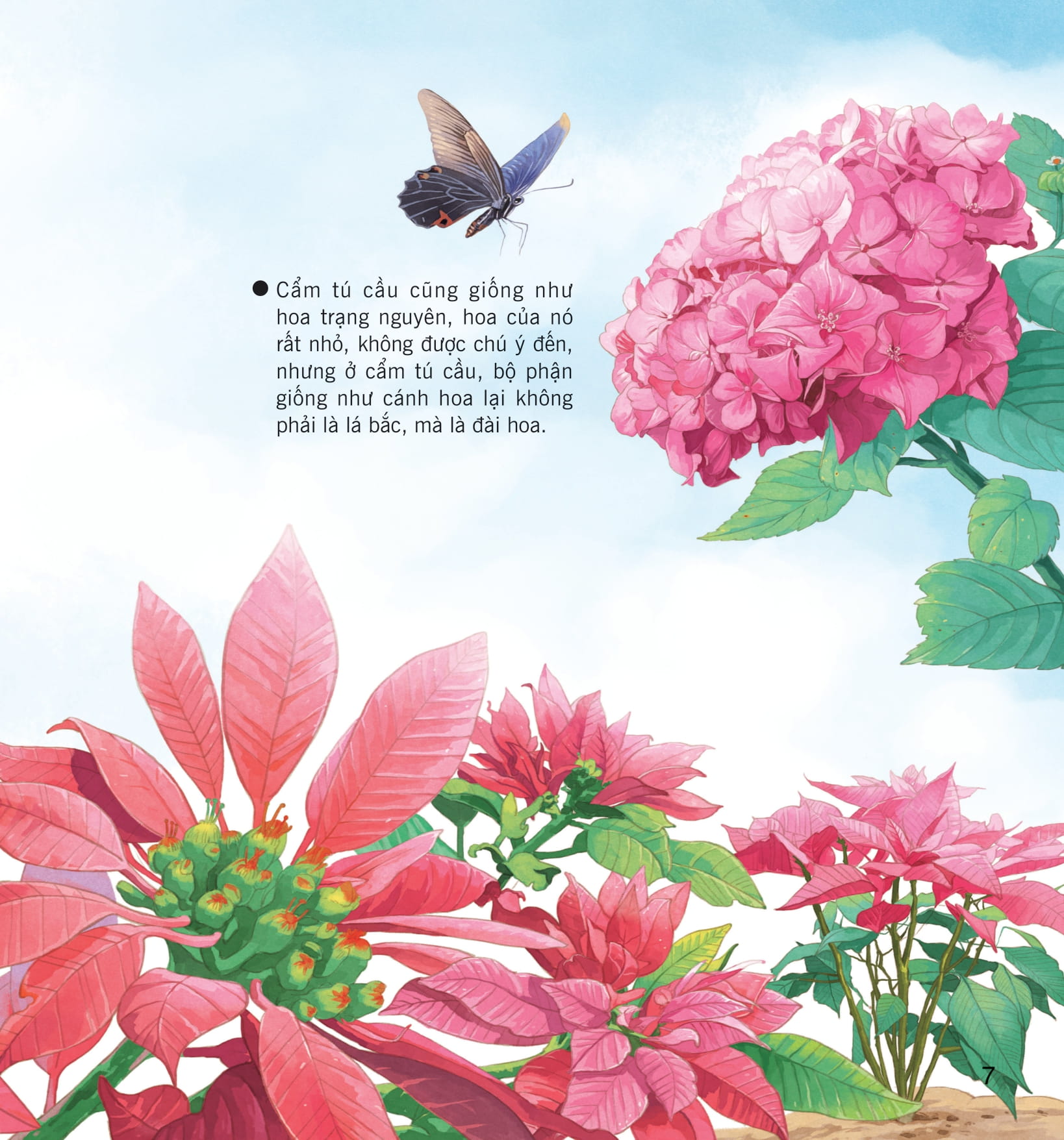 wow, thì ra là thế! - sự sinh trưởng của thực vật